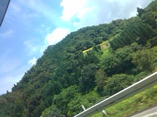 f0099367_1714296.jpg