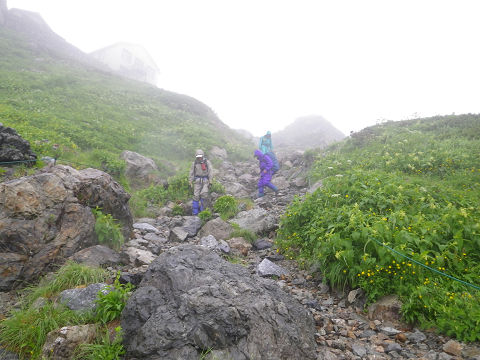 c0002874_10405681.jpg
