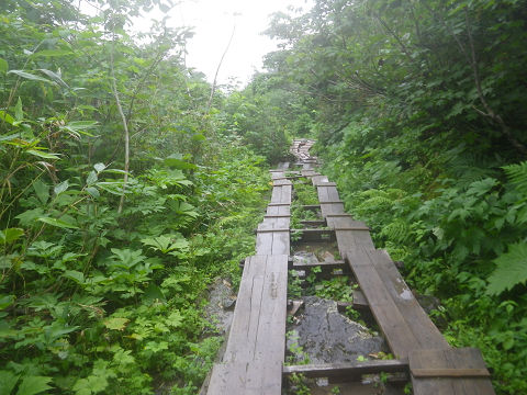 c0002874_11234817.jpg