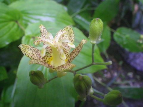 c0002874_11263816.jpg