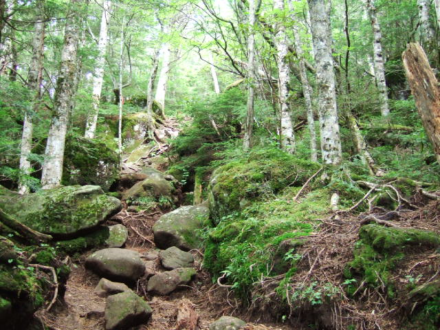 a0040879_12382684.jpg