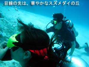 初めての体験ダイビングはワクワク&ドキドキ_f0144385_22303194.jpg