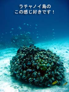 初めての体験ダイビングはワクワク&ドキドキ_f0144385_22305485.jpg