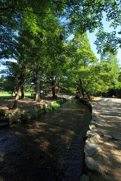 上賀茂神社_e0051888_0232028.jpg