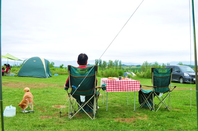 北海道キャンプ⑤ 富良野へ_a0126590_15265740.jpg