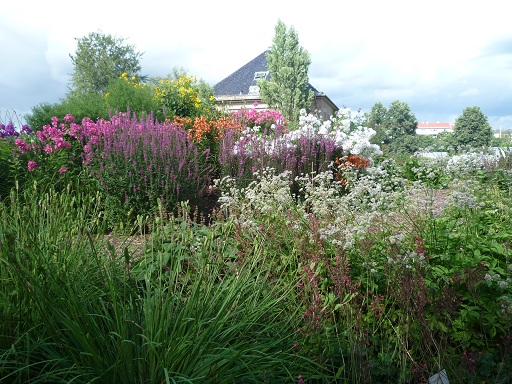 Botanisk hage - Oslo_d0182292_5131976.jpg