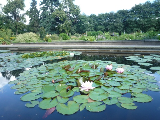 Botanisk hage - Oslo_d0182292_515346.jpg