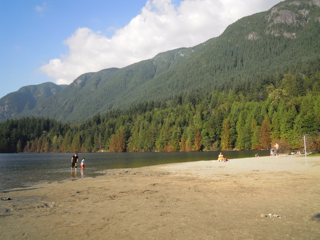e0064495_1572919.jpg