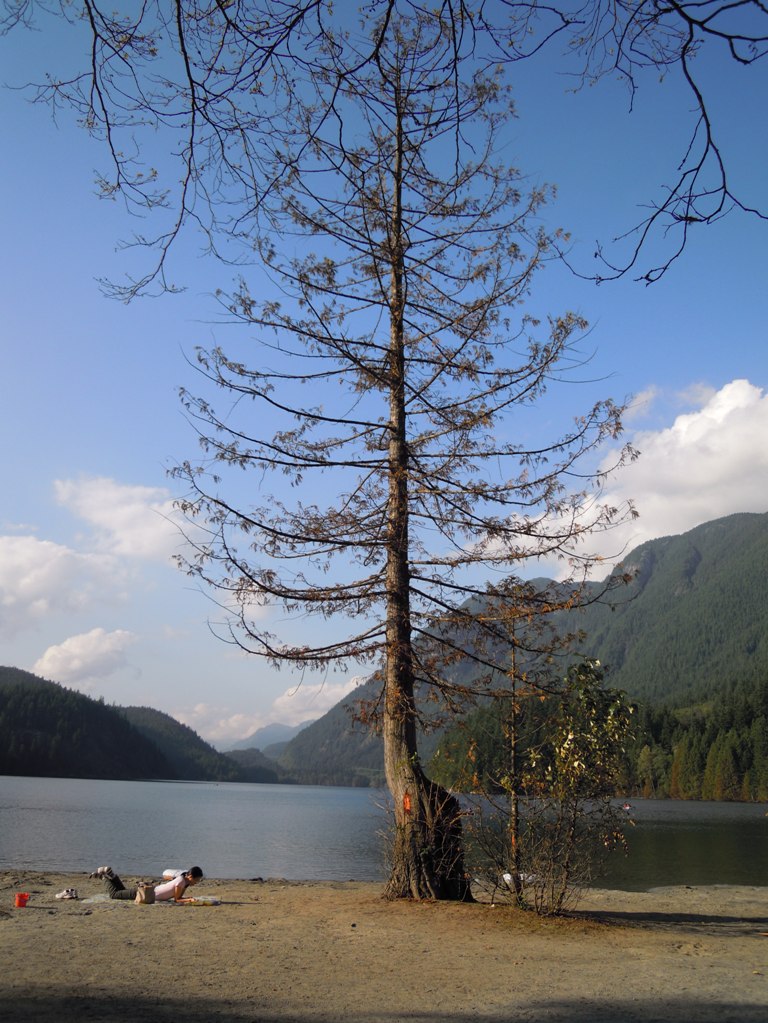 e0064495_21142.jpg