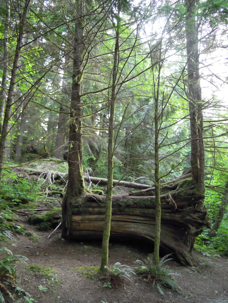 e0064495_2213851.jpg