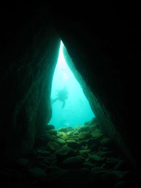 f0053895_20402599.jpg