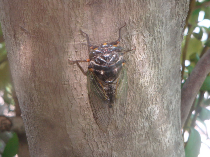 f0075595_21473247.jpg