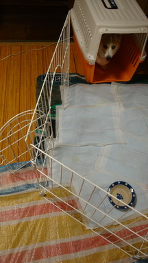 f0075595_21482078.jpg