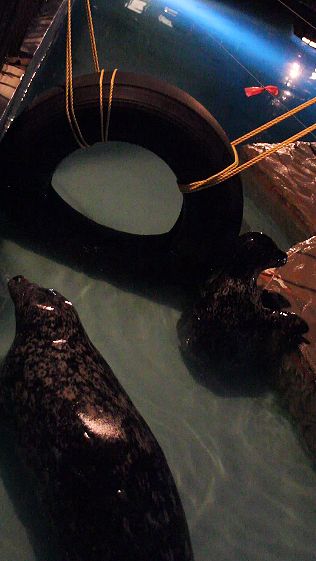 c0155902_8354689.jpg