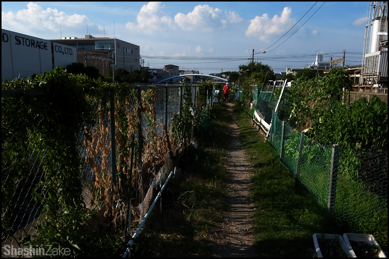 c0102003_522099.jpg