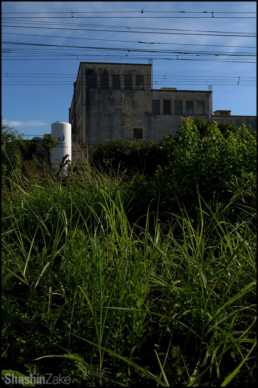 c0102003_525389.jpg