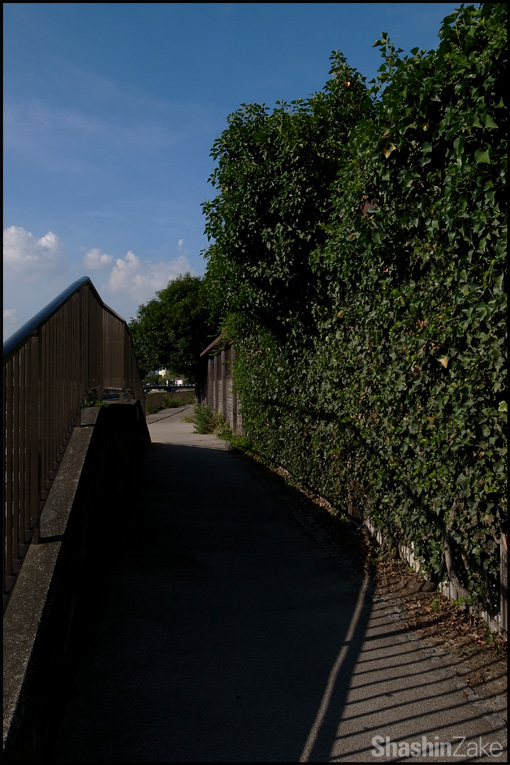 c0102003_52589.jpg