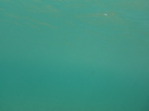 d0172508_14134927.jpg