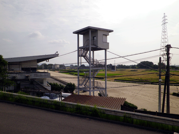 b0000209_2111225.gif
