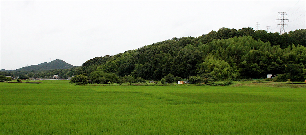 c0011009_23542430.jpg