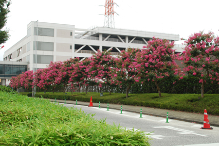 d0113613_1212324.jpg
