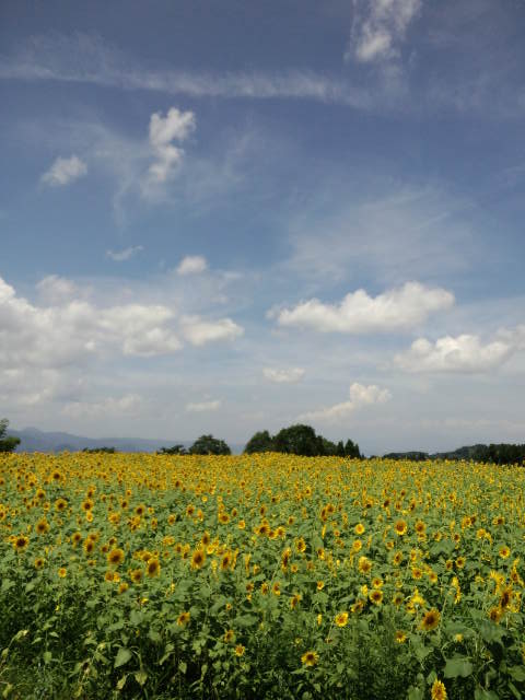 b0207514_1926298.jpg