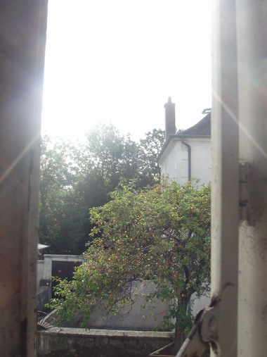 c0124619_3172057.jpg