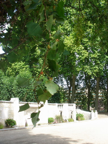 c0124619_3204024.jpg