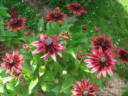 c0124619_321935.jpg