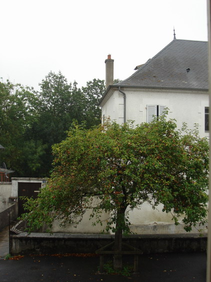 c0124619_5534054.jpg
