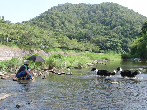 家族揃って川遊び_e0179321_2333698.jpg