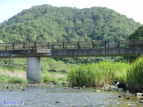 家族揃って川遊び_e0179321_2352929.jpg