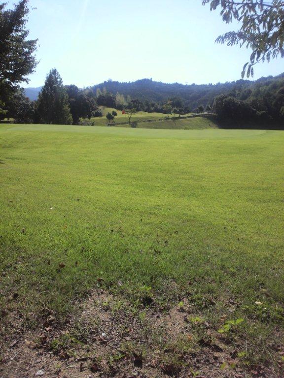 e0069622_80411.jpg
