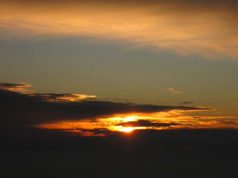 d0156625_16655.jpg