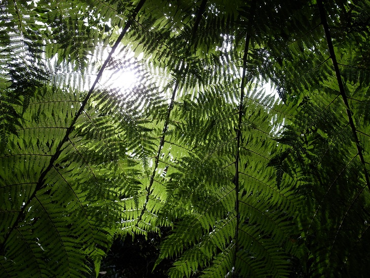 f0010925_1718366.jpg