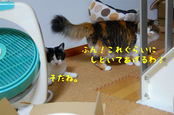 こおり！_c0181639_056630.jpg