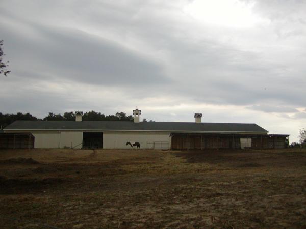 d0216939_25187.jpg