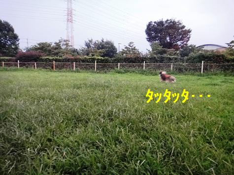 あくびがしゃべりました!_e0195743_11433944.jpg