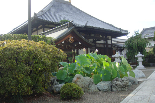 ここにも_e0226943_23504192.jpg