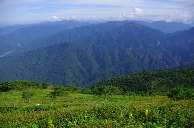 d0186245_1373388.jpg