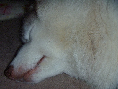 e0121548_20131672.jpg