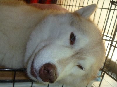 e0121548_20151916.jpg