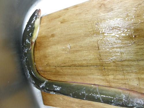 d0144550_21492582.jpg