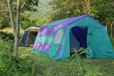 f0139466_18252981.jpg