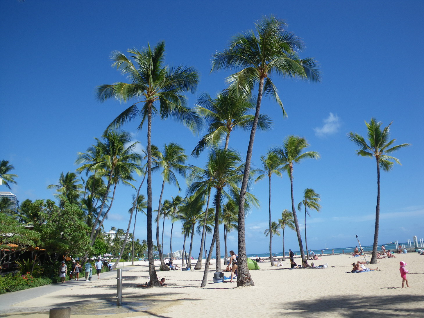 f0157268_011717.jpg