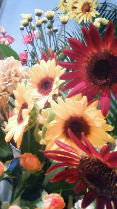 e0200269_161393.jpg