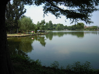 e0033570_8274392.jpg