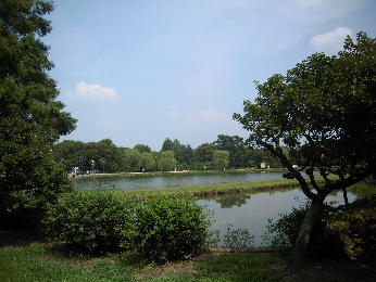 e0033570_828366.jpg