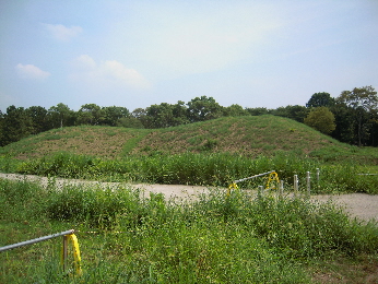 e0033570_8302519.jpg