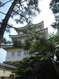 e0033570_8324024.jpg